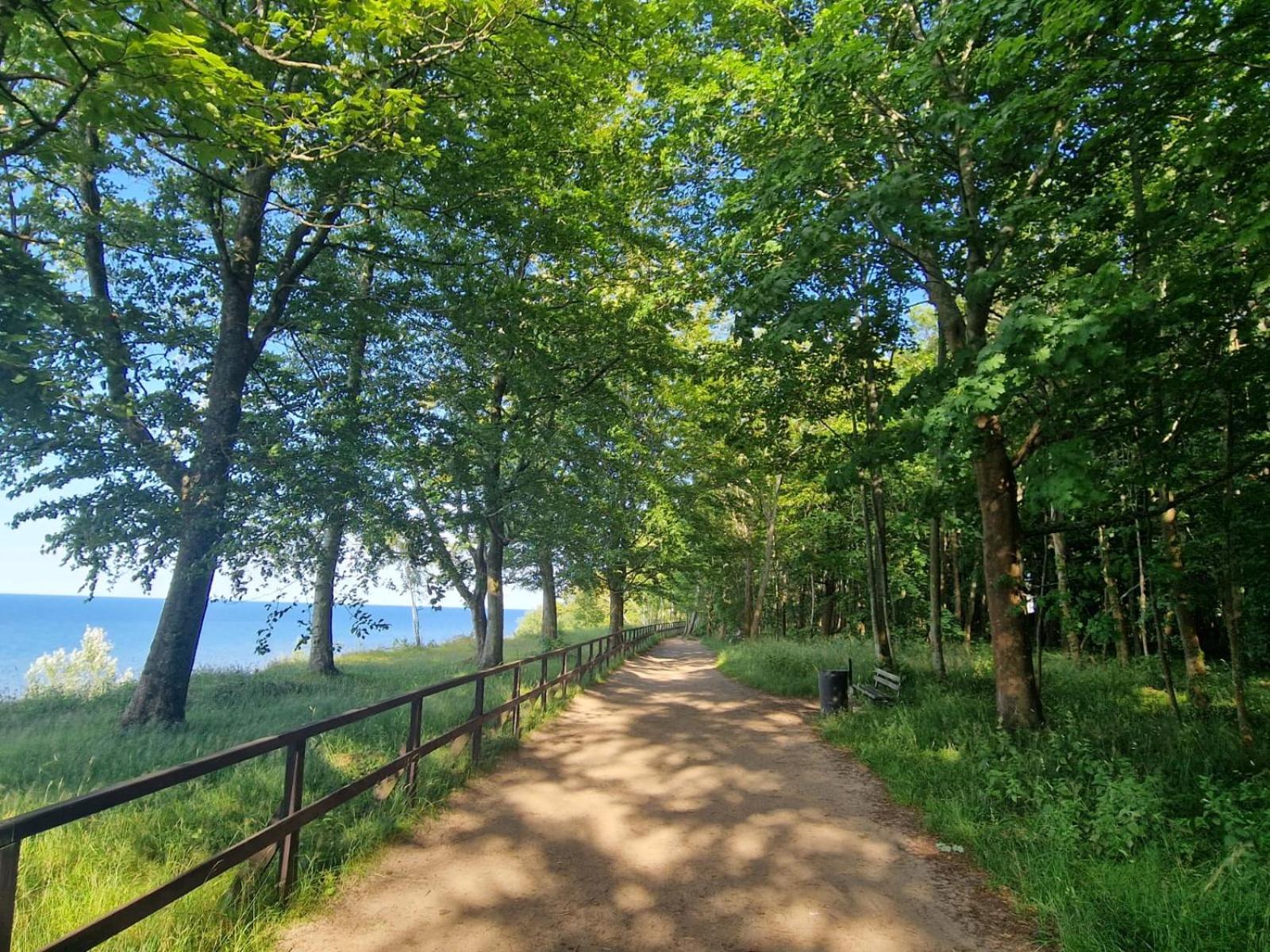 Osrodek Promenada- Domki Jastrzębia Góra 외부 사진